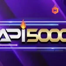 Logo api5000